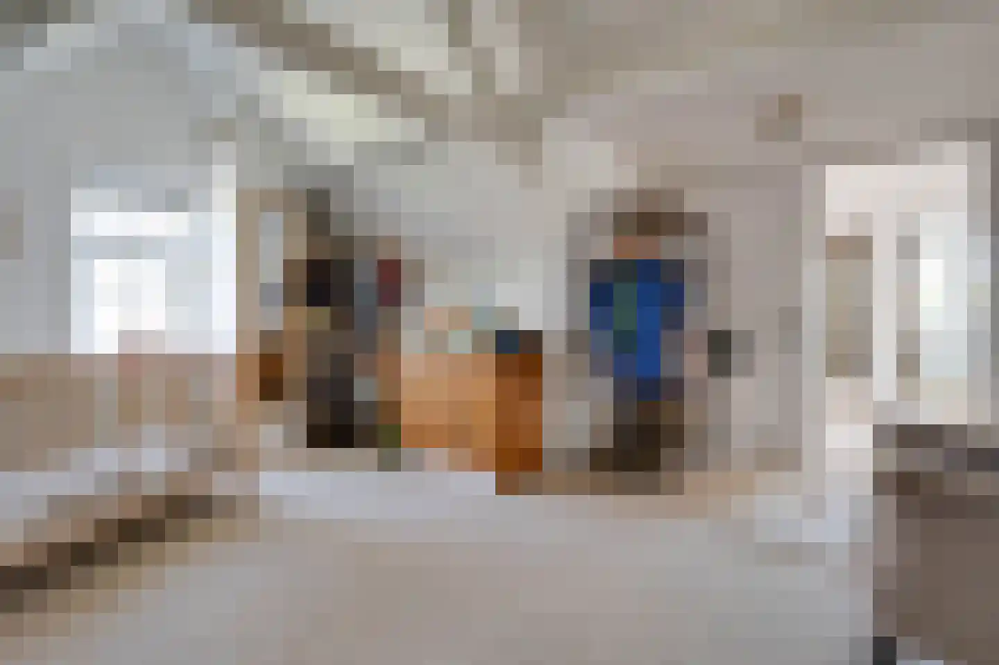 Koolweg 16 Ouddorp thumbnail 33