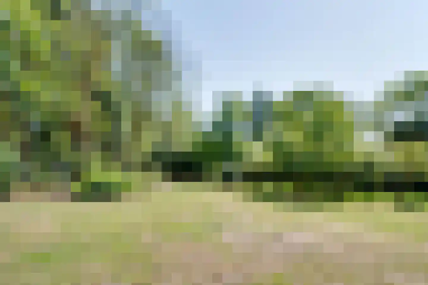 Koolweg 16 Ouddorp thumbnail 44