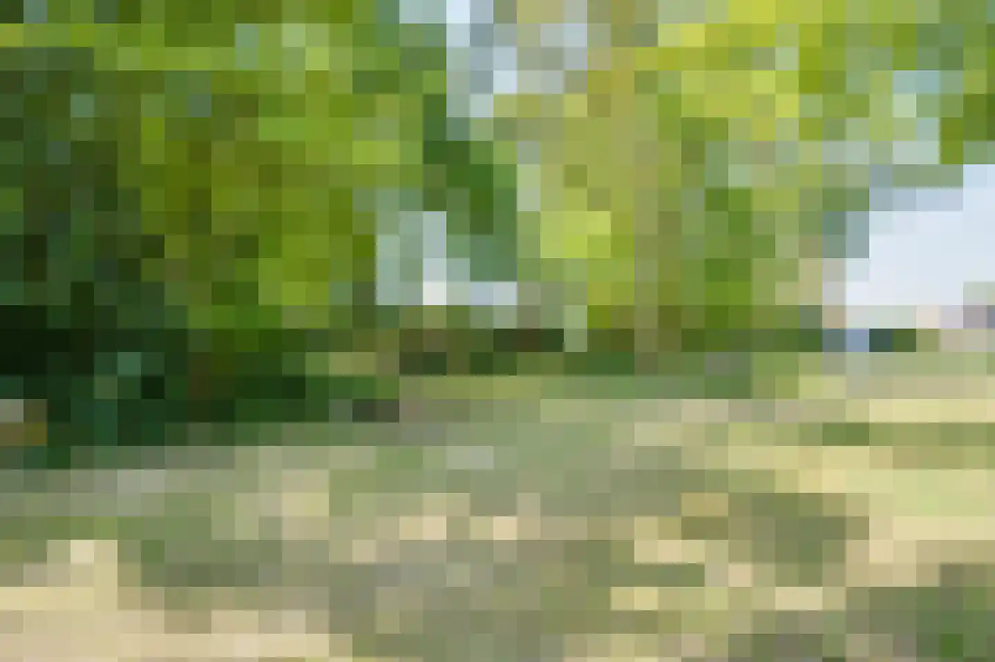Koolweg 16 Ouddorp thumbnail 45