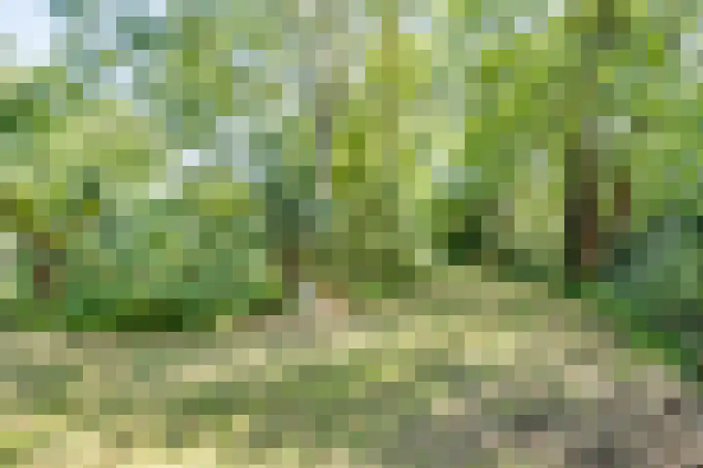Koolweg 16 Ouddorp thumbnail 47