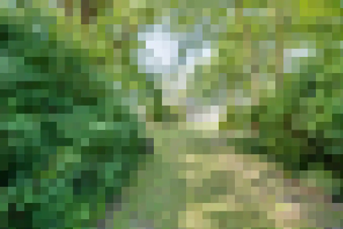 Koolweg 16 Ouddorp thumbnail 48