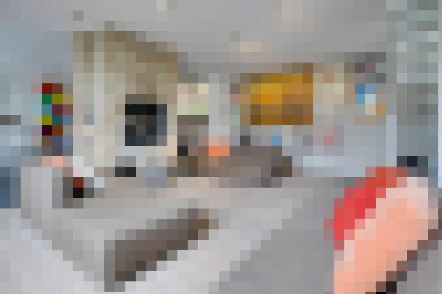 Koolweg 20 Ouddorp thumbnail 13