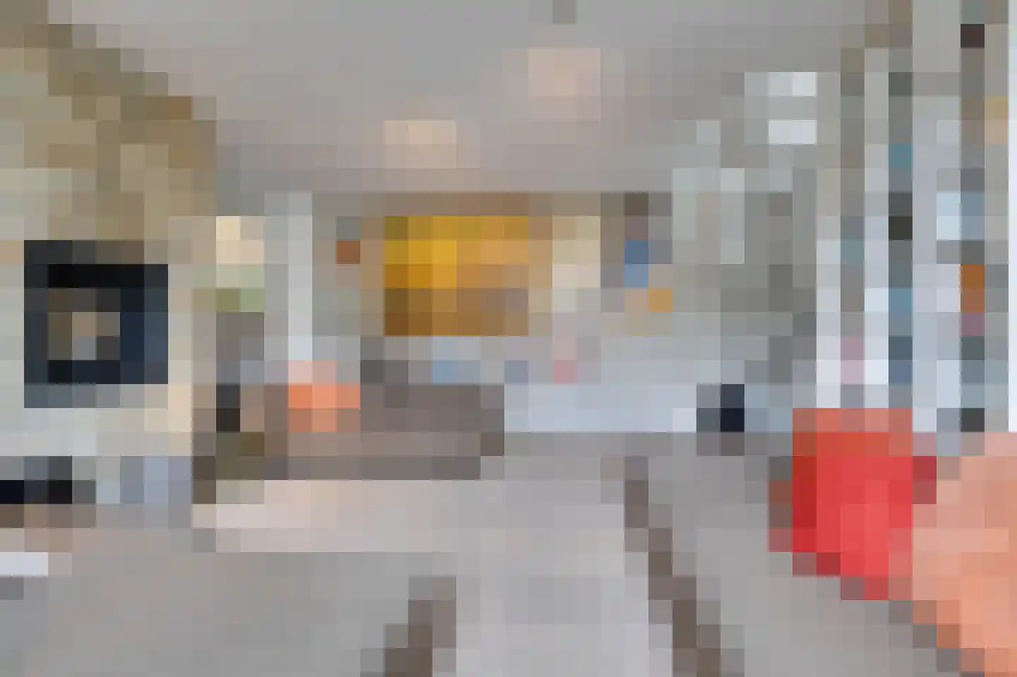 Koolweg 20 Ouddorp thumbnail 14
