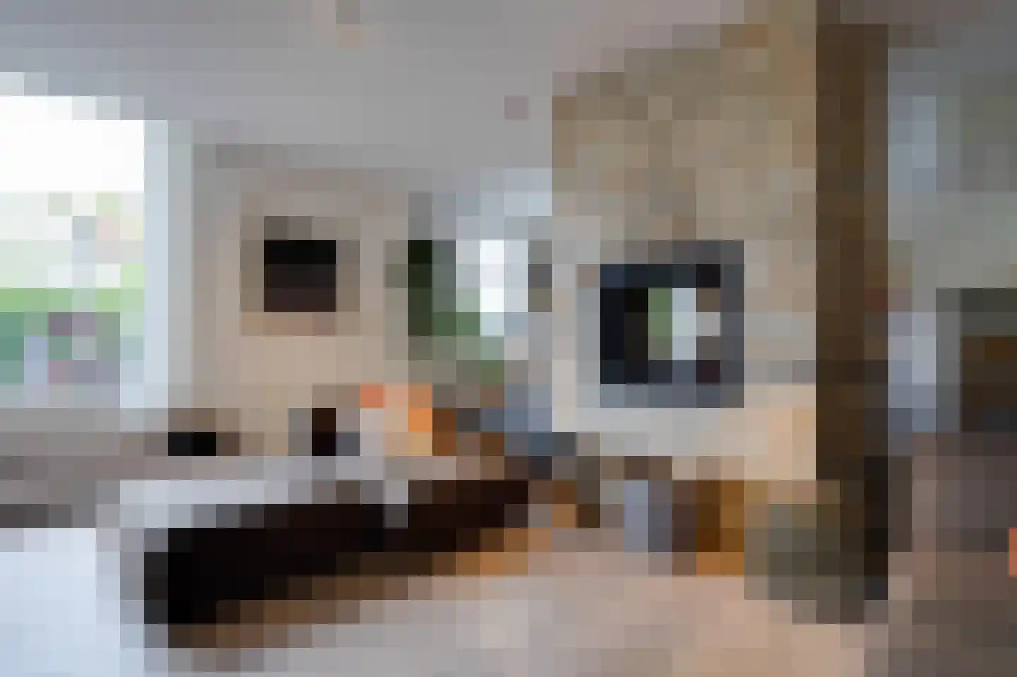 Koolweg 20 Ouddorp thumbnail 15
