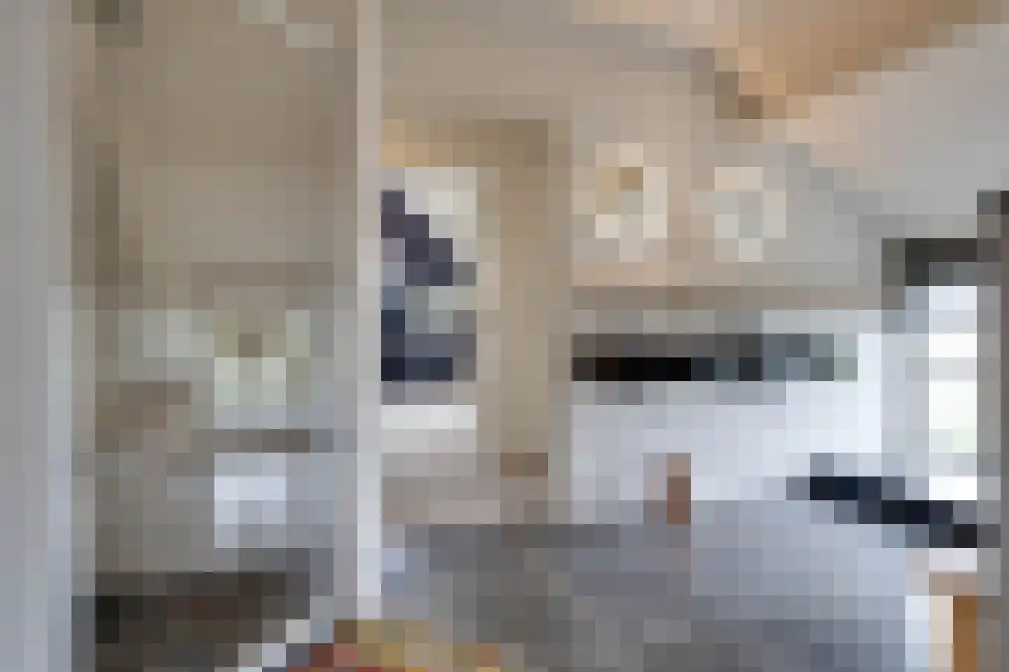 Koolweg 20 Ouddorp thumbnail 29