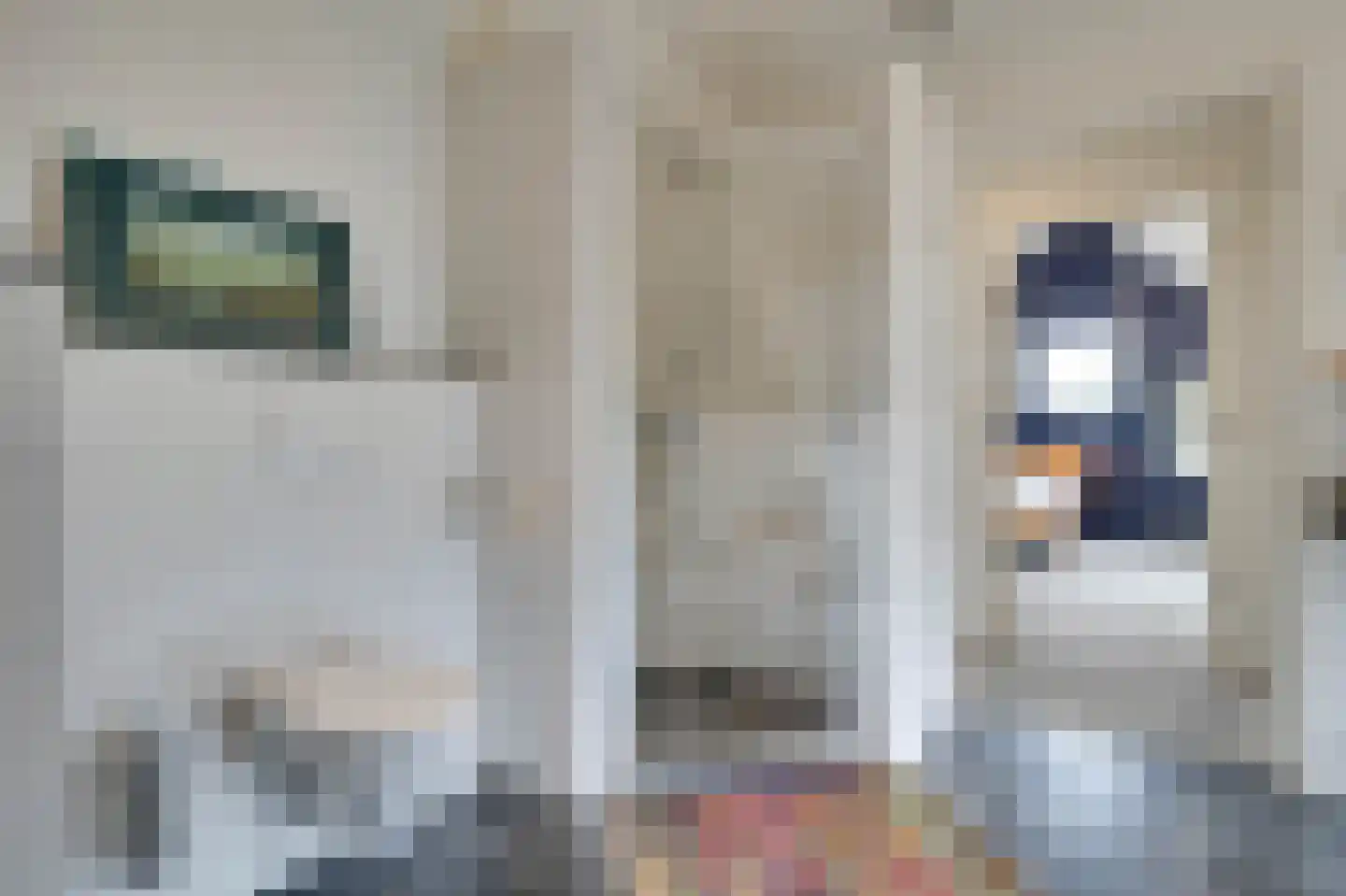 Koolweg 20 Ouddorp thumbnail 31
