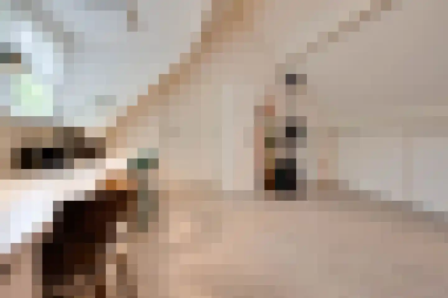 Koolweg 20 Ouddorp thumbnail 34