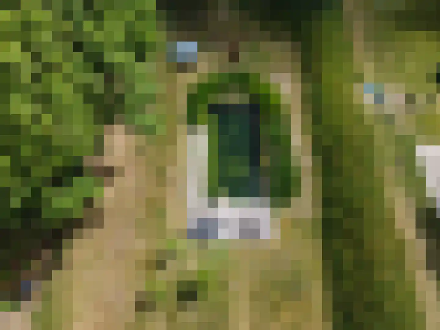 Koolweg 20 Ouddorp thumbnail 58