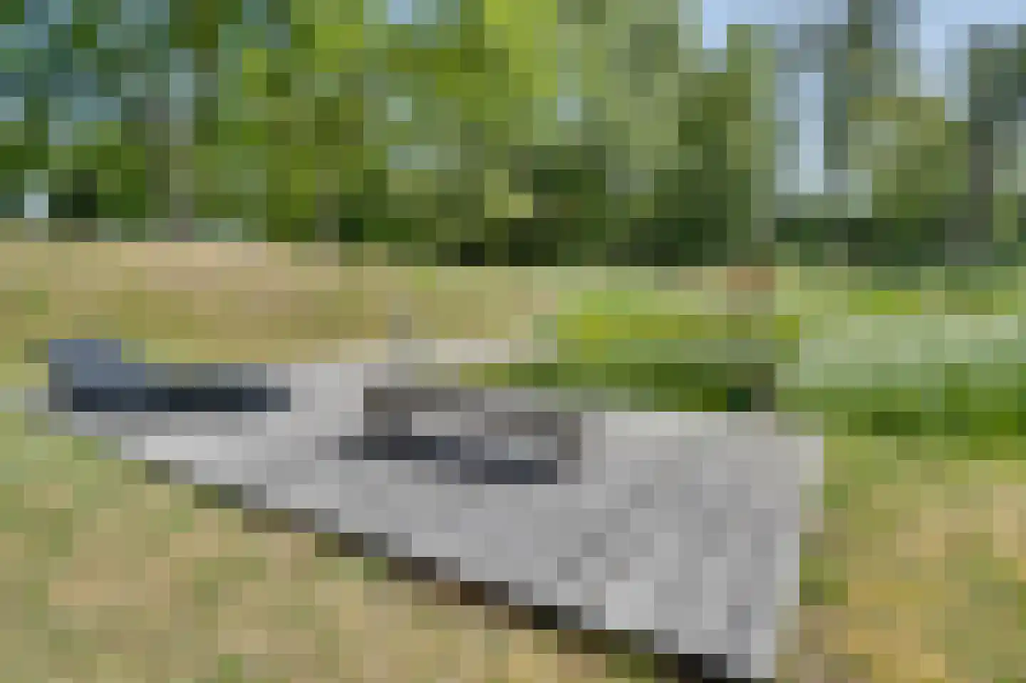 Koolweg 20 Ouddorp thumbnail 61