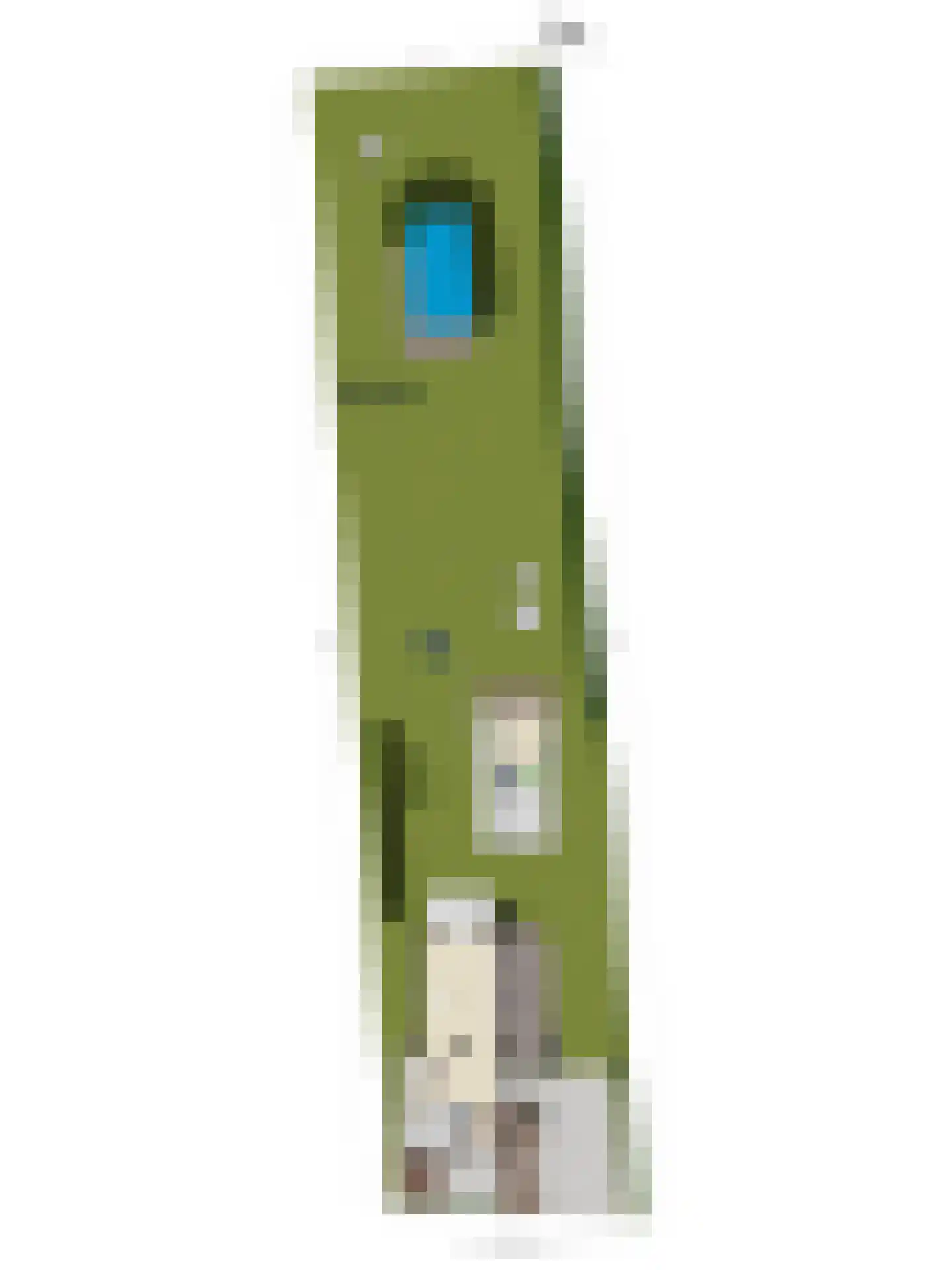Koolweg 20 Ouddorp thumbnail 69