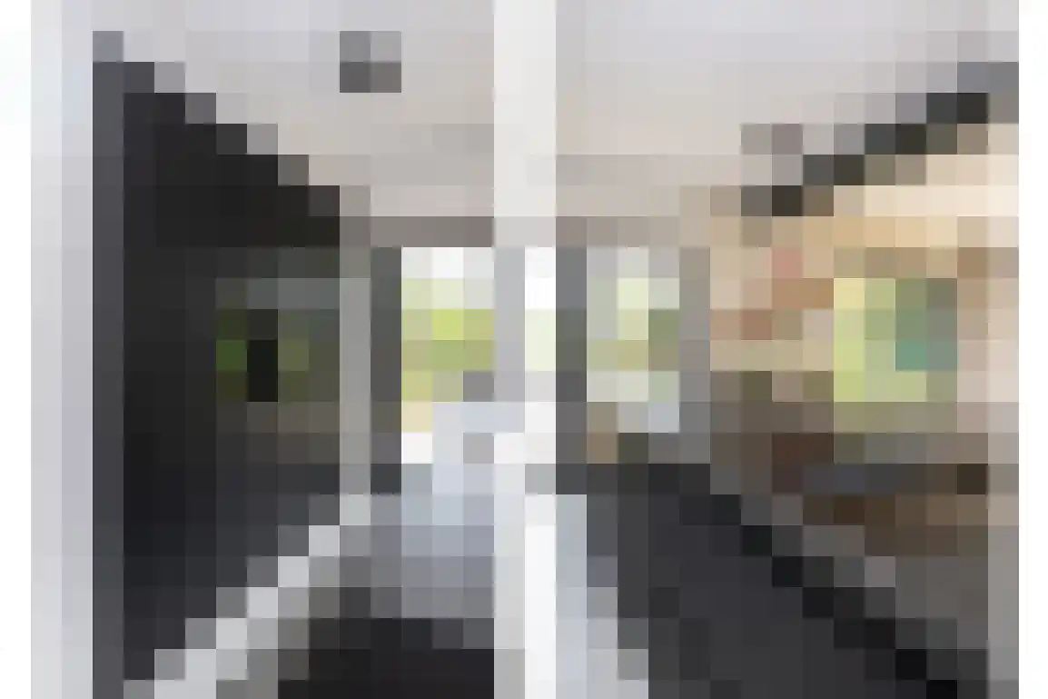 Koolweg 36 A Ouddorp thumbnail 14