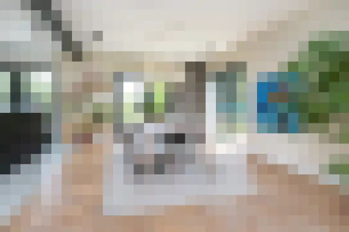Koolweg 36 A Ouddorp thumbnail 15