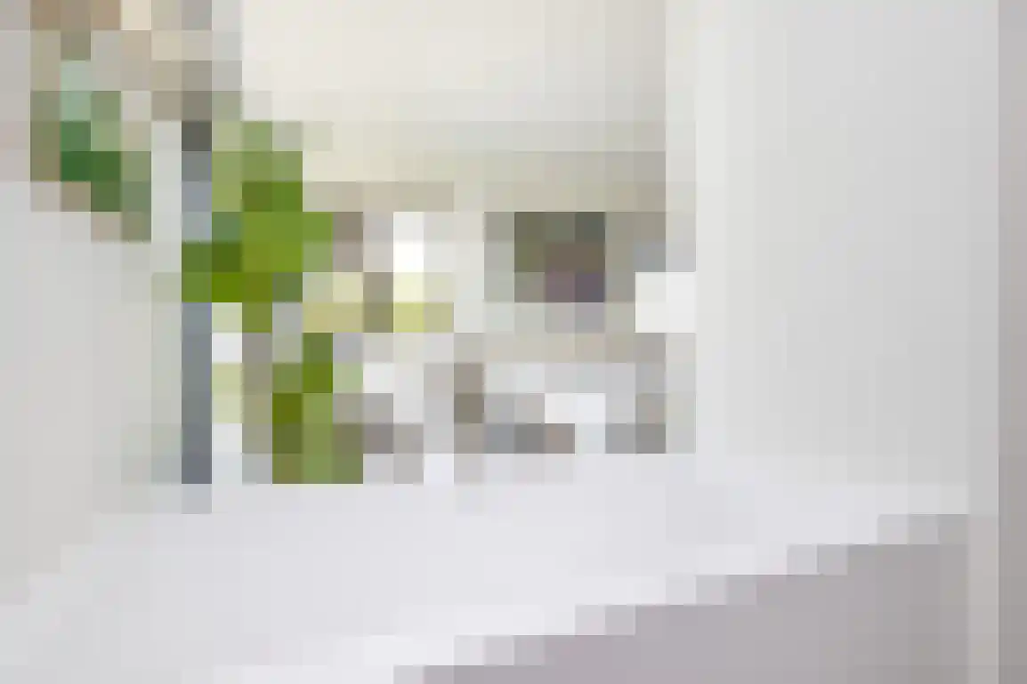 Koolweg 36 A Ouddorp thumbnail 22