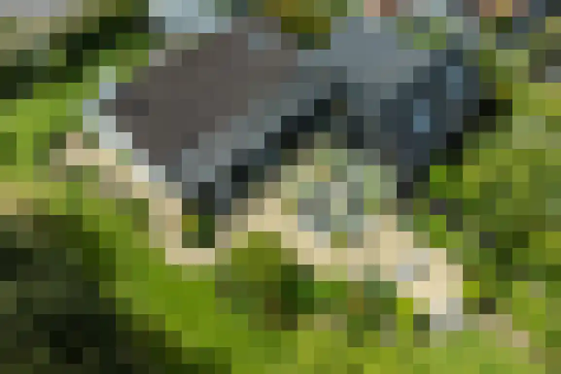 Koolweg 36 A Ouddorp thumbnail 4
