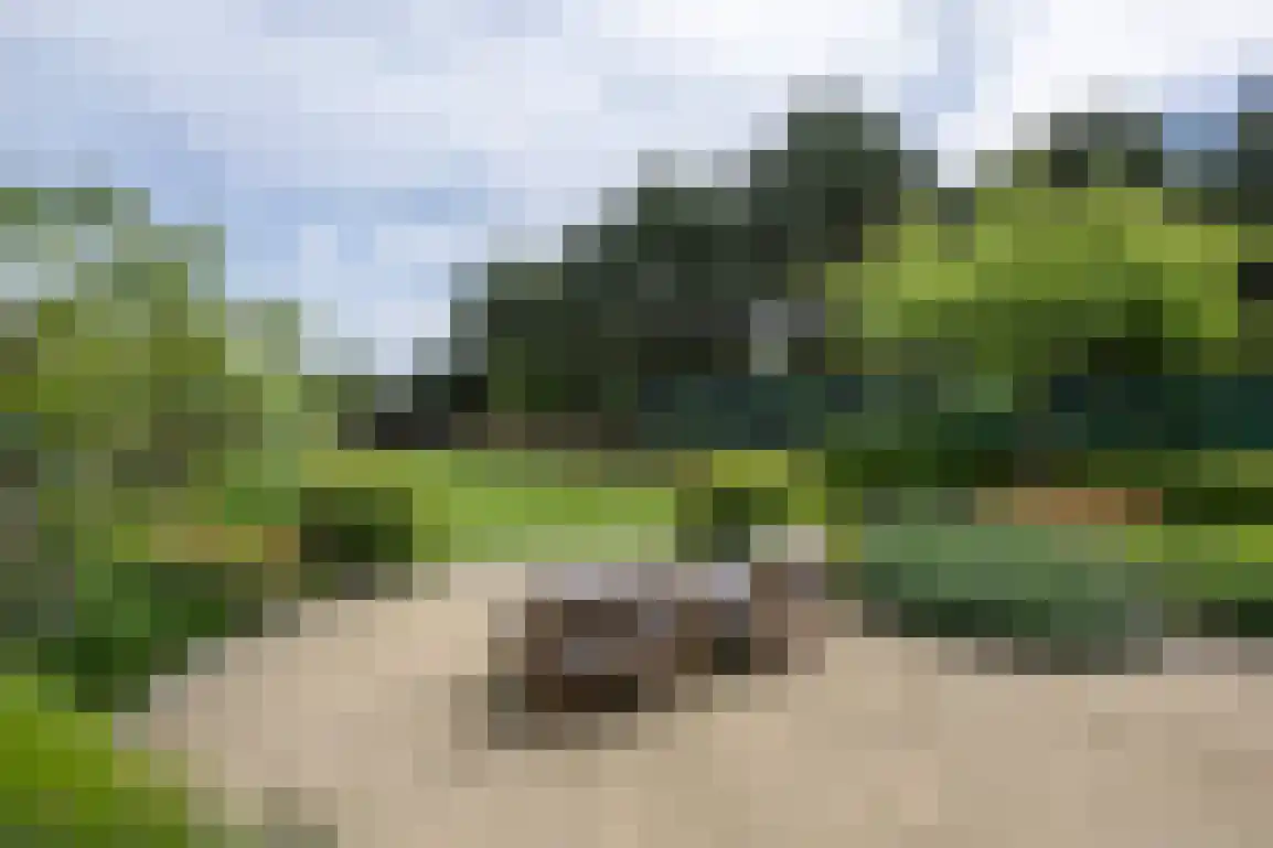 Koolweg 36 A Ouddorp thumbnail 62