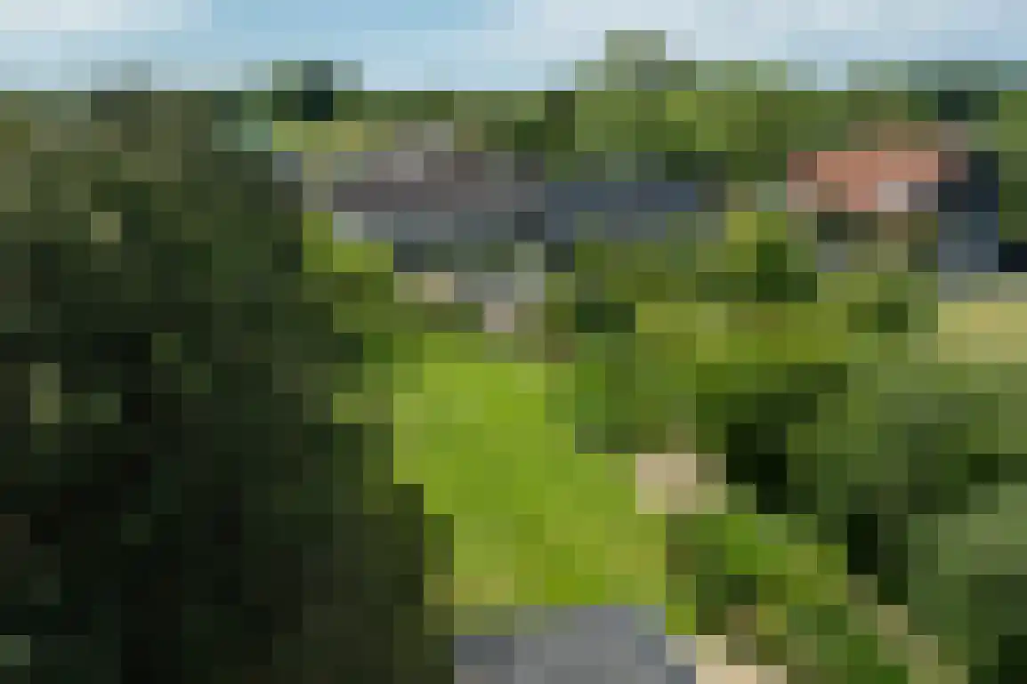 Koolweg 36 A Ouddorp thumbnail 66
