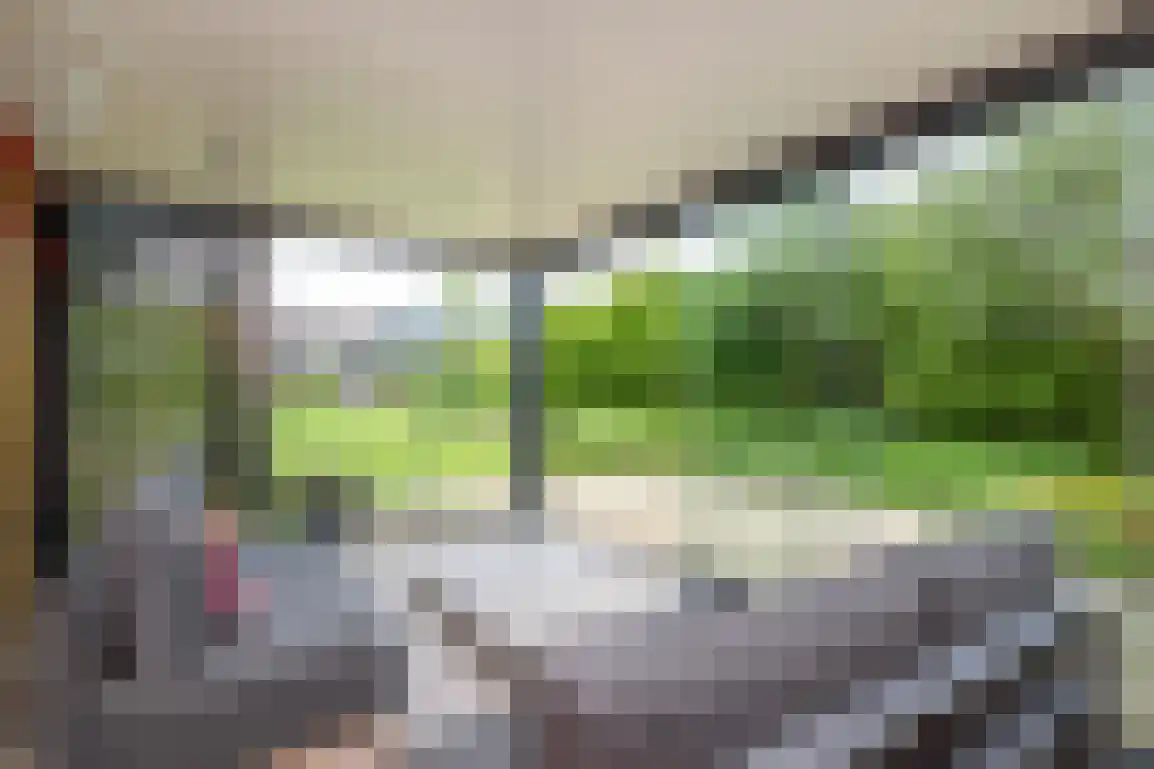 Koolweg 36 A Ouddorp thumbnail 69