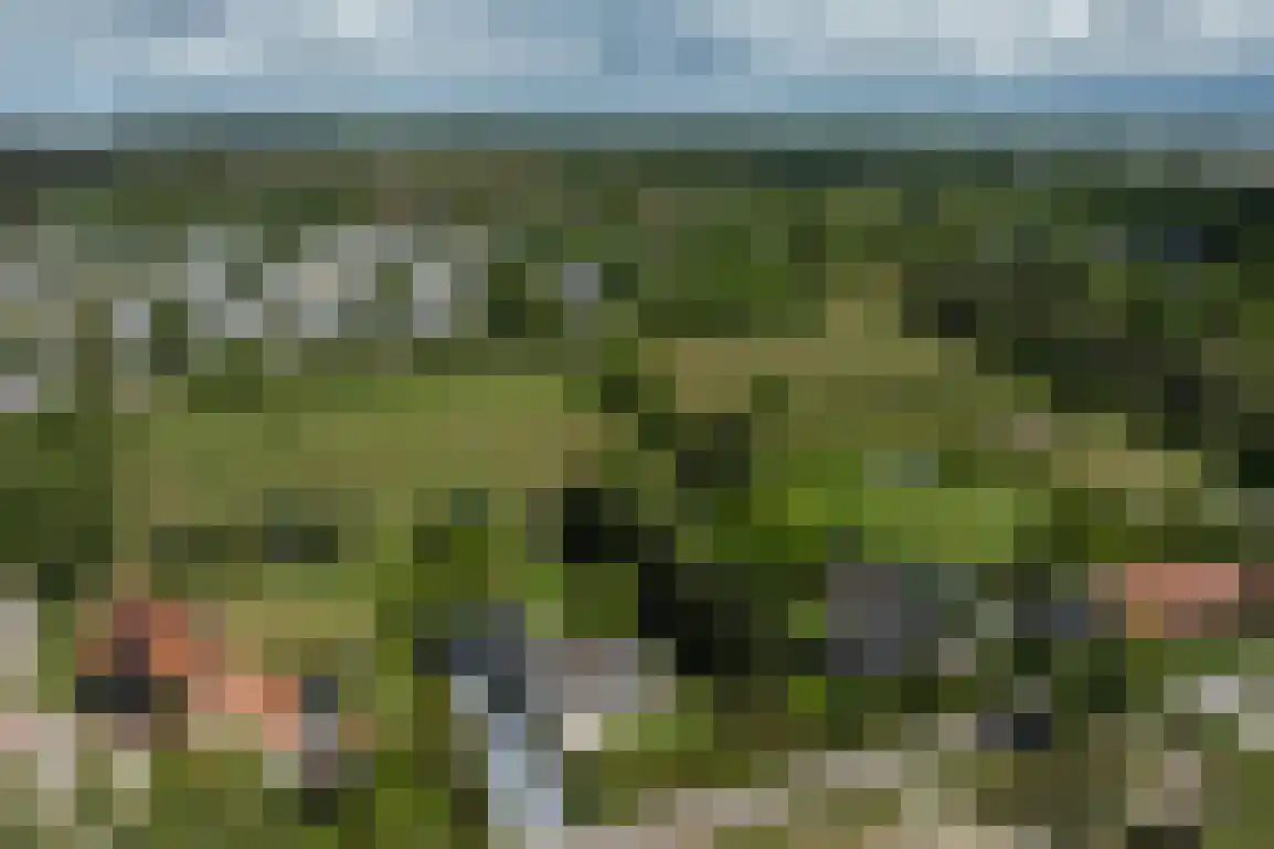 Koolweg 36 A Ouddorp thumbnail 70