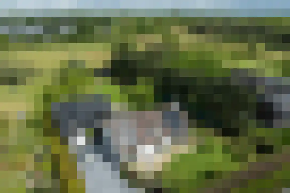 Koolweg 36 A Ouddorp thumbnail 75