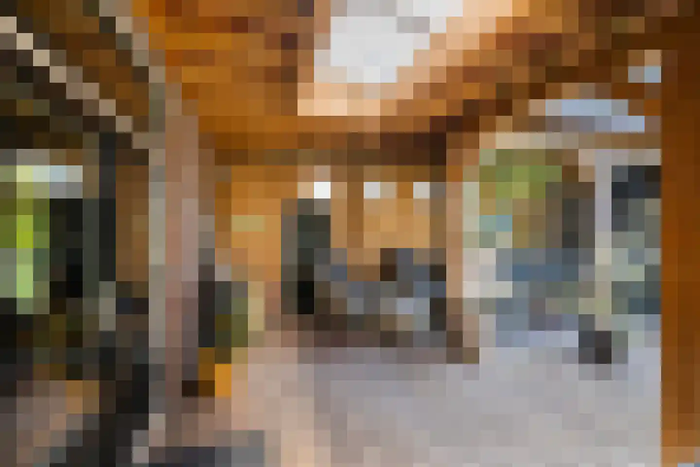 Koolweg 4 Ouddorp thumbnail 20