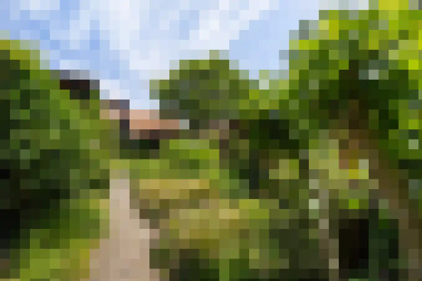 Koolweg 4 Ouddorp thumbnail 47