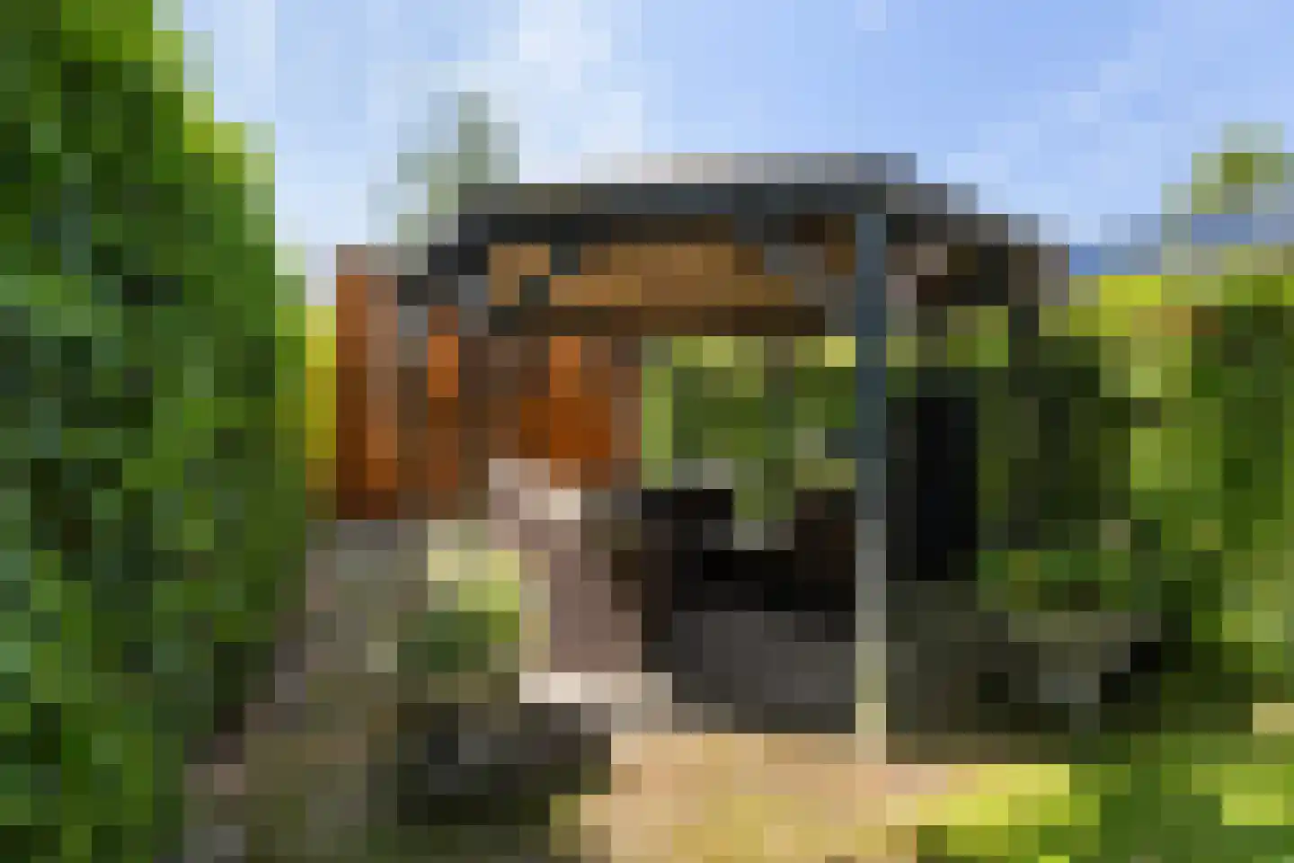 Koolweg 4 Ouddorp thumbnail 48