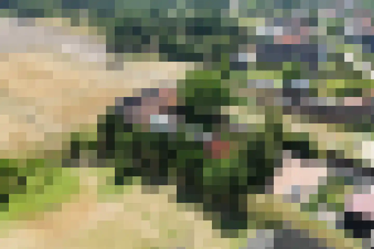 Koolweg 4 Ouddorp thumbnail 54