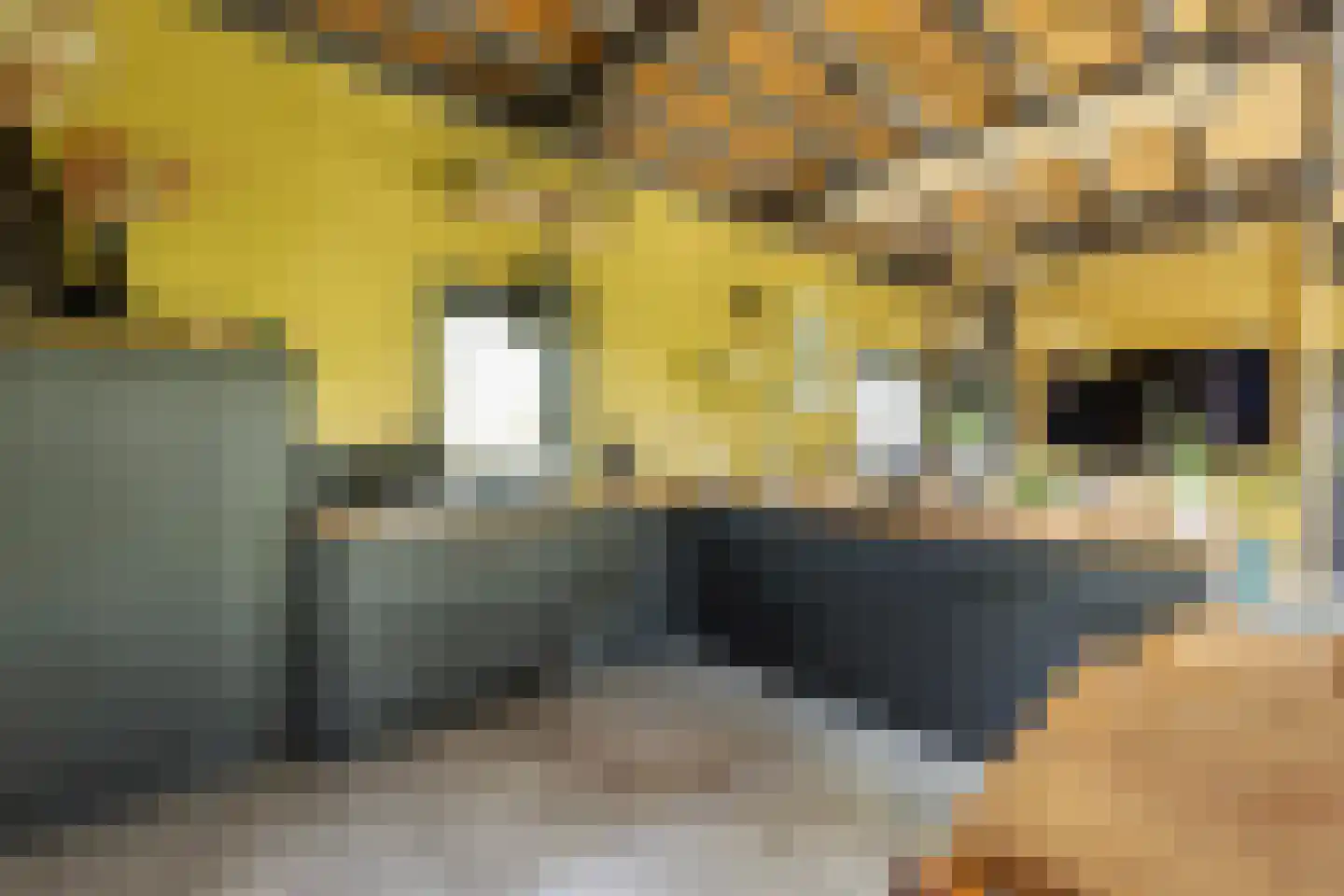 Koolweg 4 Ouddorp thumbnail 8
