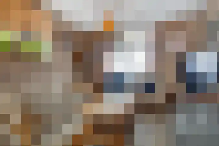Koolweg 42 Elsloo thumbnail 15