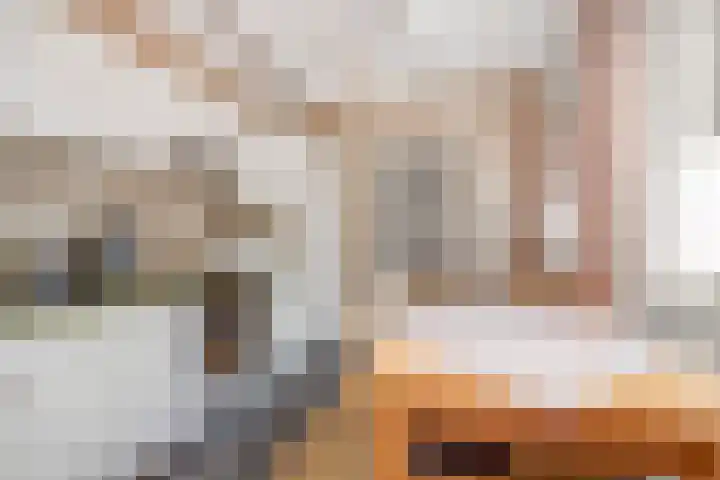 Koolweg 42 Elsloo thumbnail 17