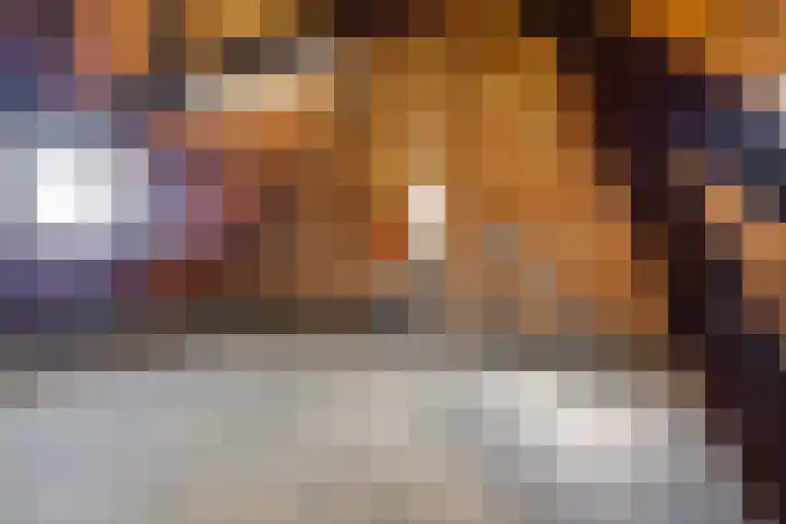 Koolweg 42 Elsloo thumbnail 31