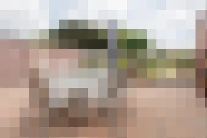 Koolweg 42 Elsloo thumbnail 39