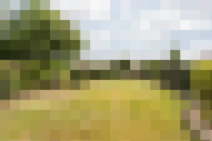 Koolweg 42 Elsloo thumbnail 4
