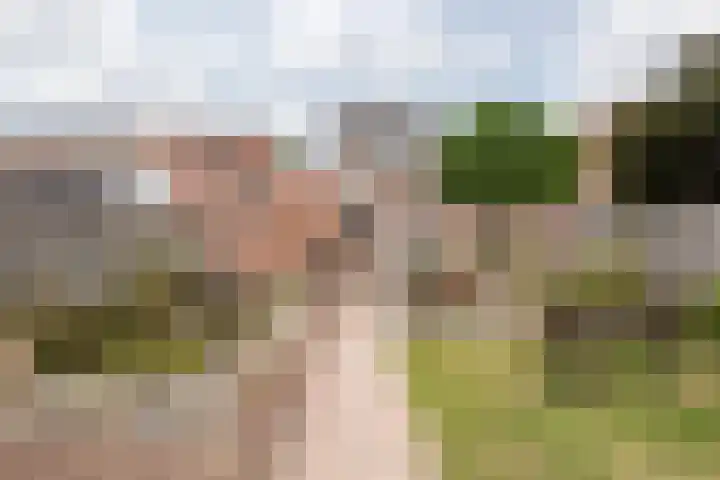 Koolweg 42 Elsloo thumbnail 41