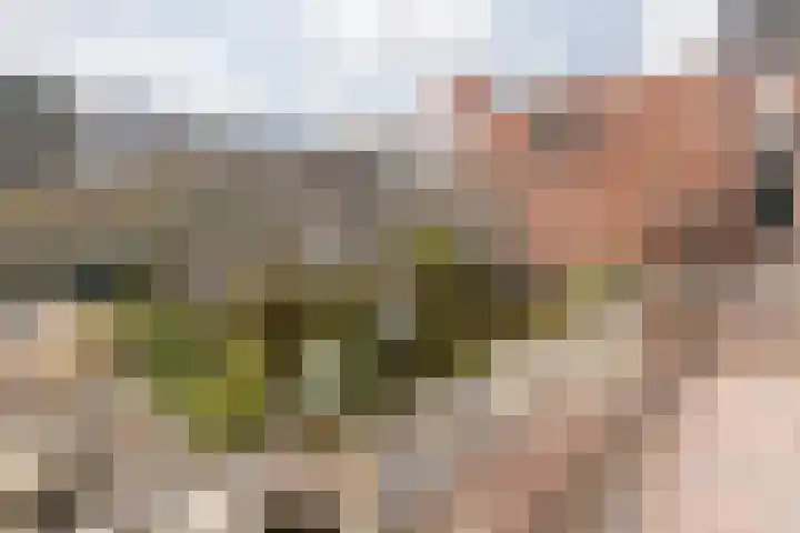 Koolweg 42 Elsloo thumbnail 42