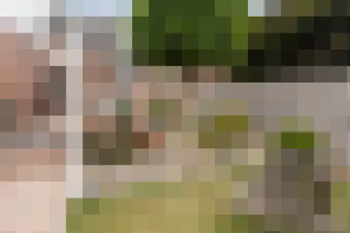 Koolweg 42 Elsloo thumbnail 43