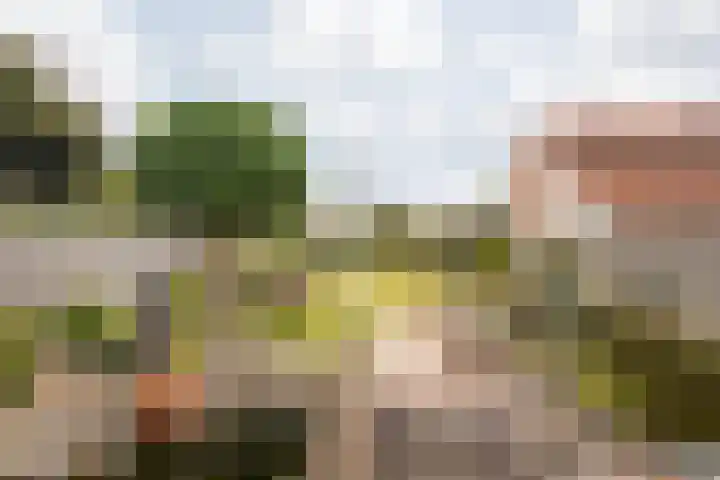 Koolweg 42 Elsloo thumbnail 45