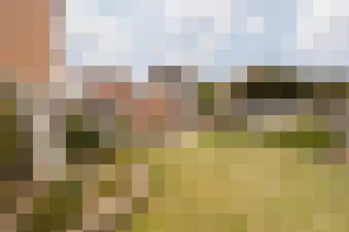 Koolweg 42 Elsloo thumbnail 46