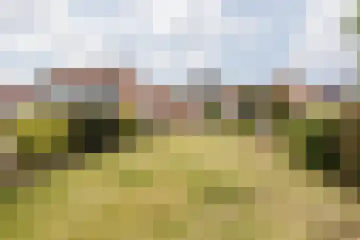 Koolweg 42 Elsloo thumbnail 47