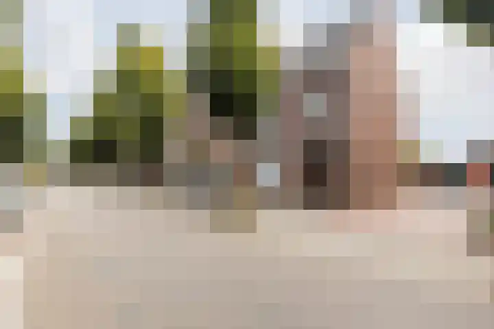 Koolweg 42 Elsloo thumbnail 5