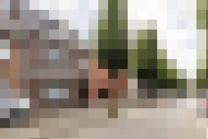 Koolweg 42 Elsloo thumbnail 6