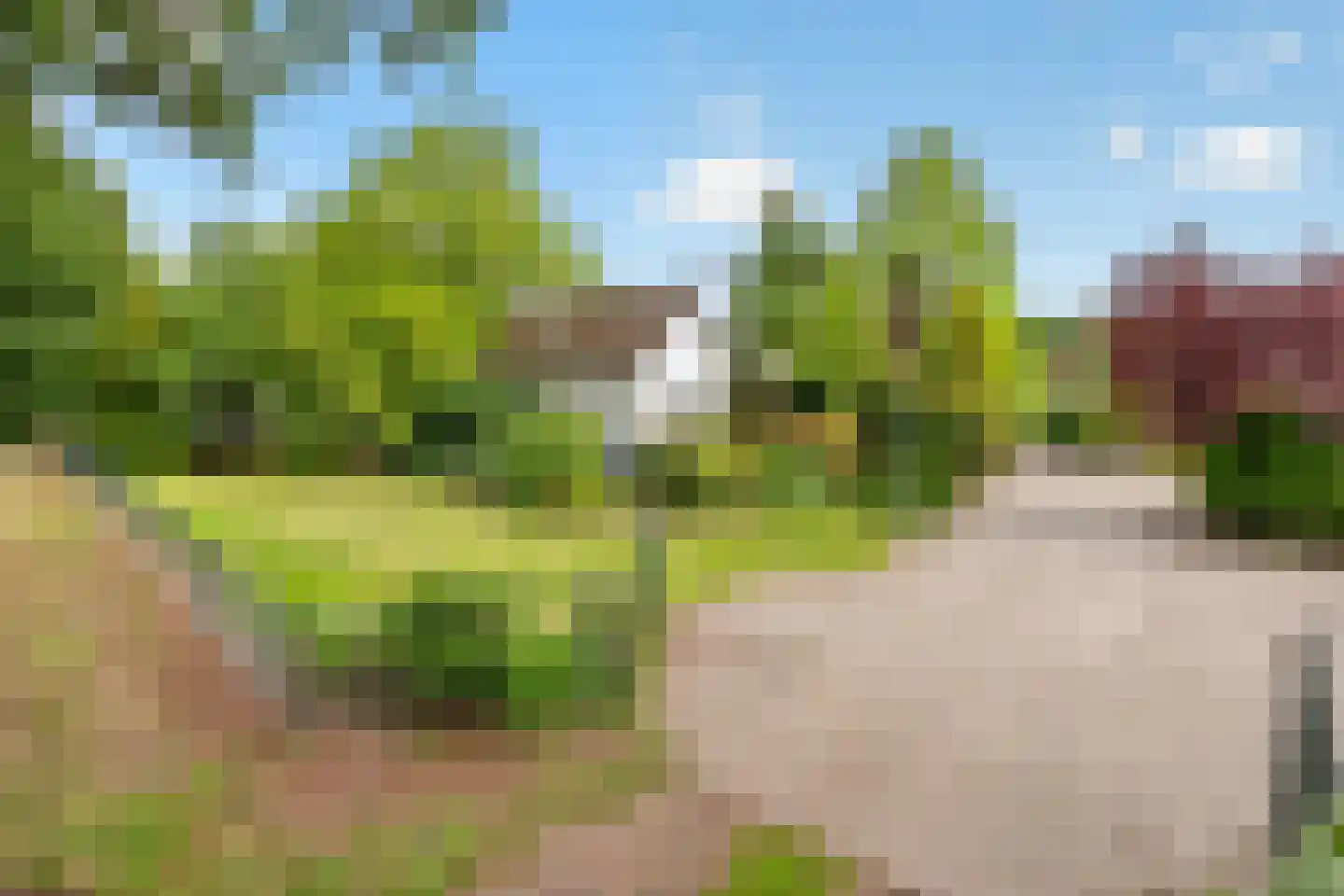 Koolweg 48 Helenaveen thumbnail 56
