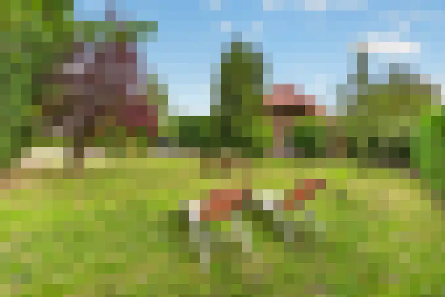 Koolweg 48 Helenaveen thumbnail 60