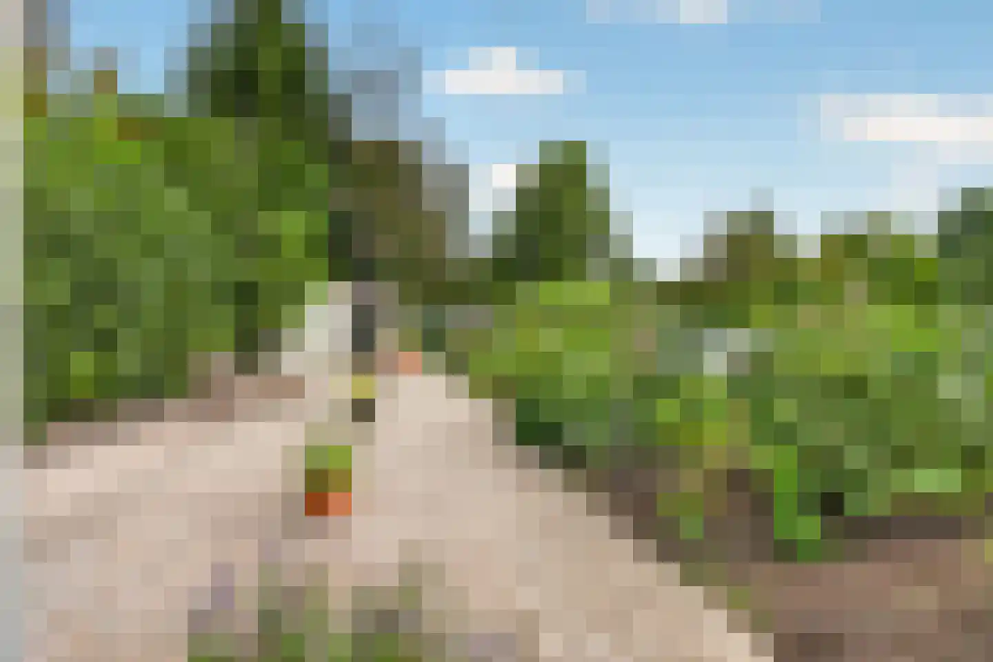 Koolweg 48 Helenaveen thumbnail 64