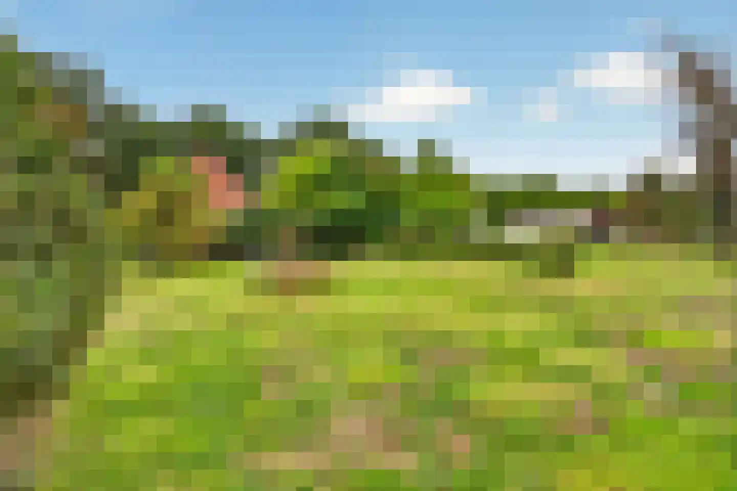Koolweg 48 Helenaveen thumbnail 68