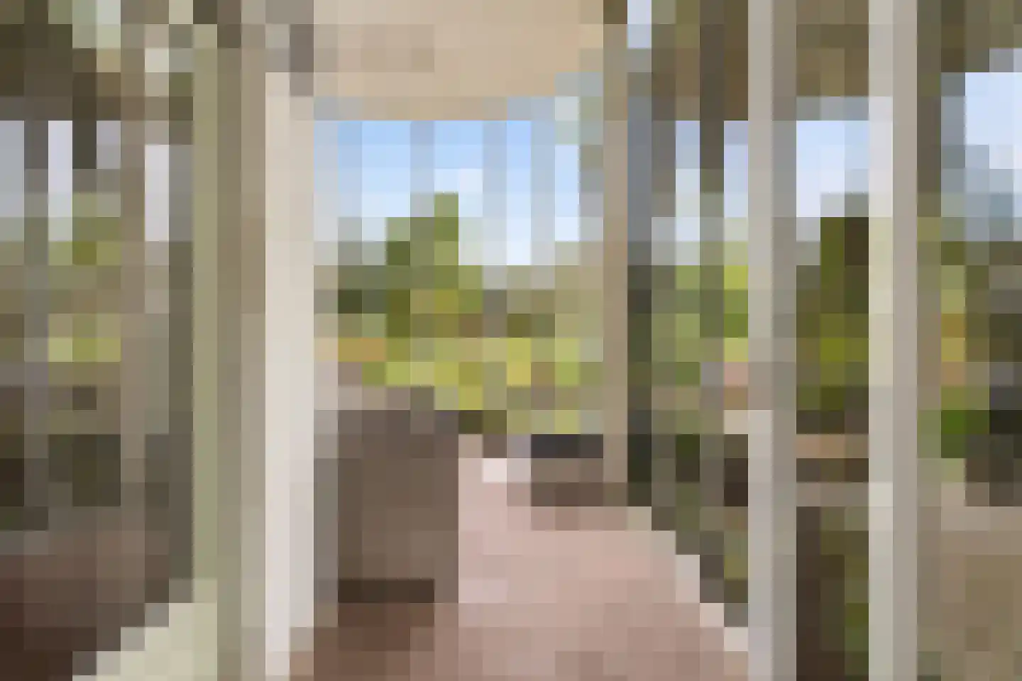 Koolweg 48 Helenaveen thumbnail 9