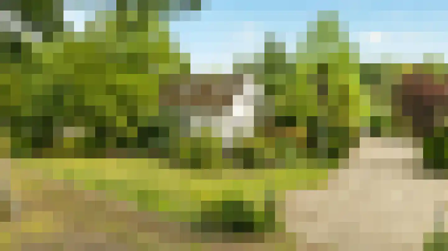 Koolweg 48 Helenaveen thumbnail 96
