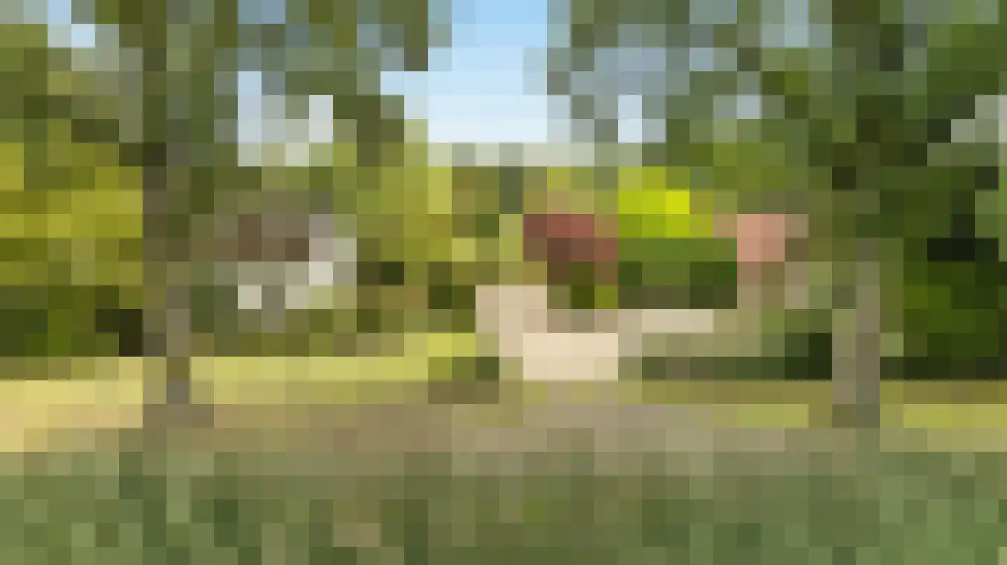 Koolweg 48 Helenaveen thumbnail 97