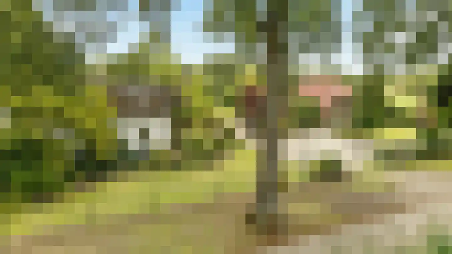 Koolweg 48 Helenaveen thumbnail 98