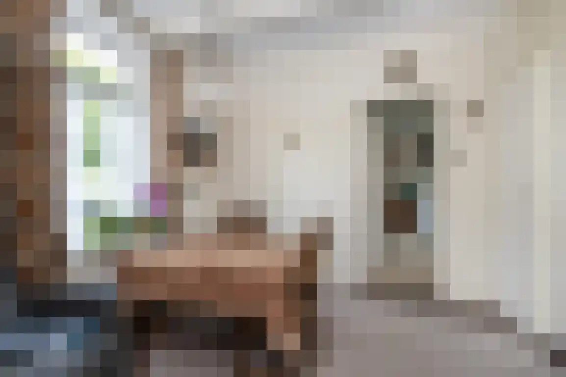 Koolweg 8 Ouddorp thumbnail 6